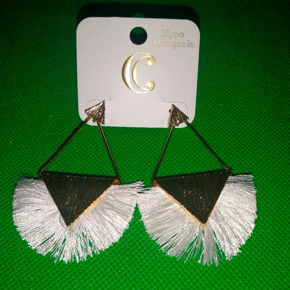 Charming Charlie Tassel Earrings
